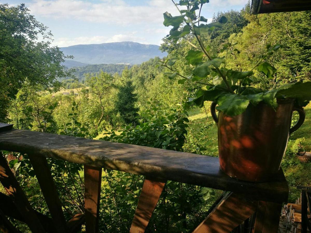 Chalupa Z Widokiem W Gorach Zawoja Extérieur photo