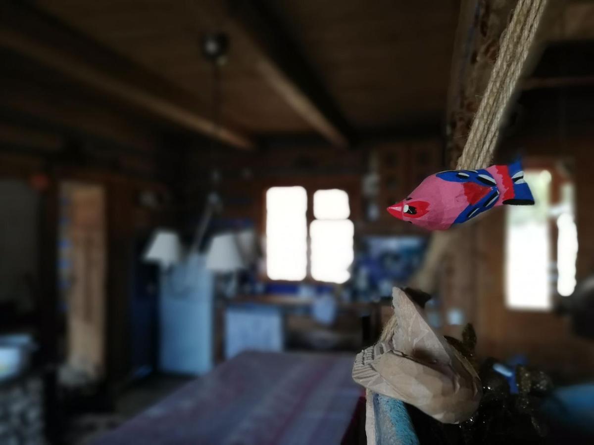 Chalupa Z Widokiem W Gorach Zawoja Extérieur photo